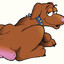 Dog Nutz