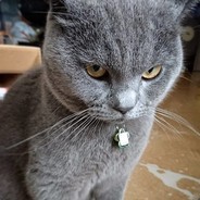Totoki - steam id 76561197965636439