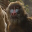 Rafiki