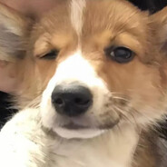 瞄准 射击 重伤倒地