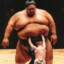 Sumo Wrestler Sweetass