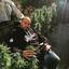 SMOKE WEED!