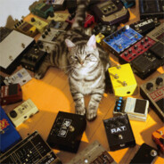 Shoegaze Cat