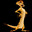 LaSuricata