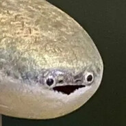 Sacabambaspis