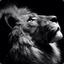 darklion