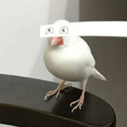 我直接一个飞天大超