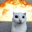 Bombert