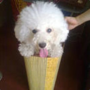 就叫我逗比轩吧