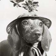 freakazoidberg - steam id 76561197961398903