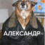 АЛЕКСАНДР