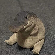 The Gator Guy
