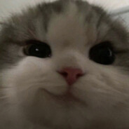 Ziay