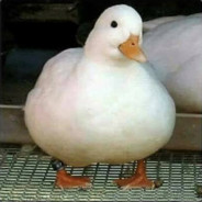 pastizz420