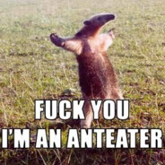 ANTEATERRR