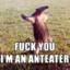 ANTEATERRR