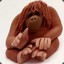 Monkey Orangutan
