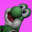 Yoshi