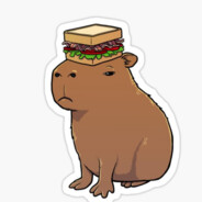 CapyBara