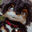 Avatar of Fadey 犬 ♥