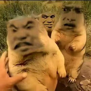 不会排列与组合