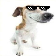 Brunosooo