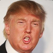 Donald Trump (lakylaky2008)