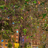 想不想被爸爸叉