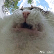 чукур