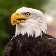 יְדִידוּתִי BABRAHAM