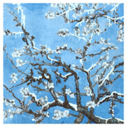 樱花满地集我于心