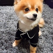 棋韵 南丁格尼尔