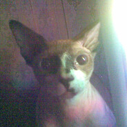 мс зашкваренный