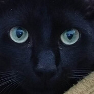 Avatar snapshot
