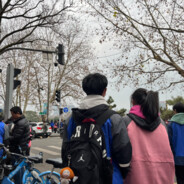 失意也不能失懿