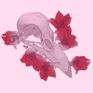 ravenhunterAT