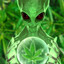 #накуканили's avatar