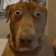 dwsdqwdqwdqw - steam id 76561198451627853