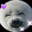 Jayelo