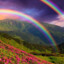Rainbow_of_Dawn