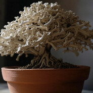 Bonsai Bones