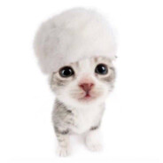 whyMillen? avatar