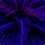 ♦_ϟ¯lowlaw _ϟ¯♦