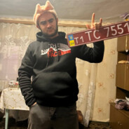 Чайка🐾 avatar