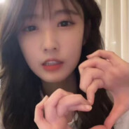 高山杜鹃杨如画