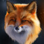 Funny Fox