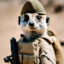 YoDolb Suricate War