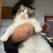 戰無不勝的毛澤東思想