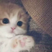 想念是会呼吸的痛