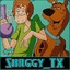 Shaggy_Tx.